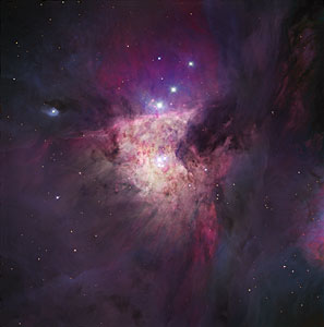 The Trapezium Cluster