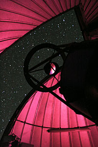 TRAnsiting Planets and PlanetesImals Small Telescope