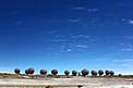 ALMA Antennae