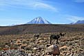 Licancabur