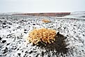 Unrecognisable Paranal Residencia
