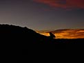 APEX Sunset