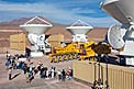 ALMA transporter showing muscle