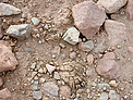 Archaeology in Atacama's Chilean desert