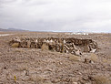 Archaeology in Atacama