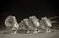 ALMA Compact Array
