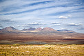 ALMA surroundings