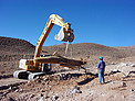 Transplanting Giant Cacti