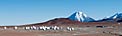 Halfway There: 33 ALMA Antennas on Chajnantor