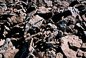 Detail of the terrain in the ALMA area