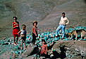 La Silla Neighbours