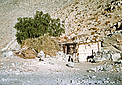 Neighbours at Quebrada Pelícano