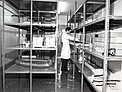 Storage at the Sky Atlas Laboratory