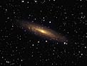 A Milky Way cousin