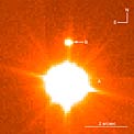 Young Brown Dwarf in TWA-5 System