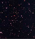 Galaxy Cluster in the Capodimonte Deep Field