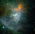 The Trapezium Cluster