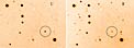 RX J0806.3+1527 Stellar Binary System