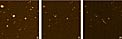 The brown dwarf LP 944-20