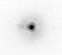 The Star HIC 69495 (AO corrected image)