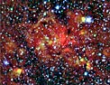 Radio and Near-Infrared Composite of W49A