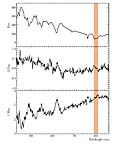 Optical spectrum of SN 2001el and fractional polarisation