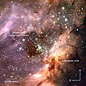 Stellar cluster and star-forming region M 17 (annotated)