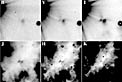 Images of the Silhouette Disc and the Bipolar Reflection Nebula