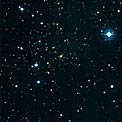 Cluster of Galaxies RXCJ1131.9-1955