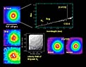 SINFONI Observations of the Circinus Galaxy