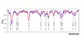Average Spectra of the Blue and Red Population Stars