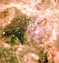 Tarantula's Central Cluster, R136