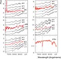 Spectra of the Candidate 'Planemos