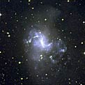 NGC 1313