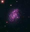The Spiral Galaxy NGC 5584 and SN 2007af
