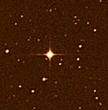 The Star Gliese 581