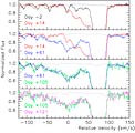 Evolution of SN 2006X Spectrum