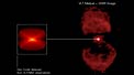 A Disc in the Ant Nebula