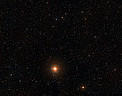 Digitized Sky Survey Image of the star T Leporis