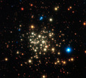 The Arches Cluster