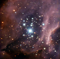 Around the massive star IRS2