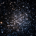 The star cluster Terzan 5