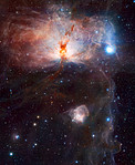 Mounted image 85: The hidden fires of the Flame Nebula