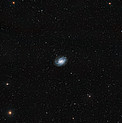 The surroundings of NGC 300