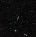 Wide-field view of the sky around NGC 247