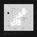 The star cluster NGC 2100 in the constellation of Dorado