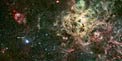 The star cluster NGC 2100 in context