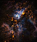The Cool Clouds of Carina