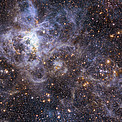 Wide-field view of the sky around VFTS 102: the fastest rotating massive star