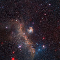 Wide-field view of the entire Seagull Nebula (IC 2177)